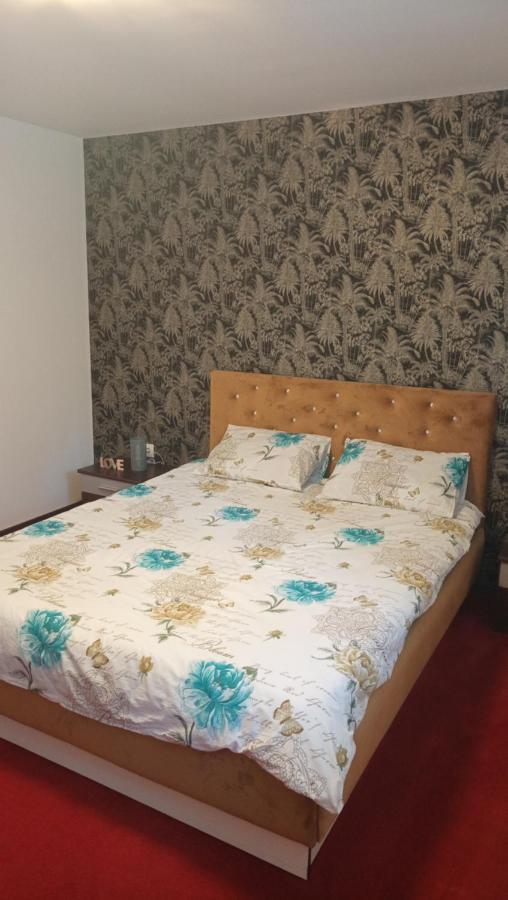 Apartamento Karina House Braşov Exterior foto